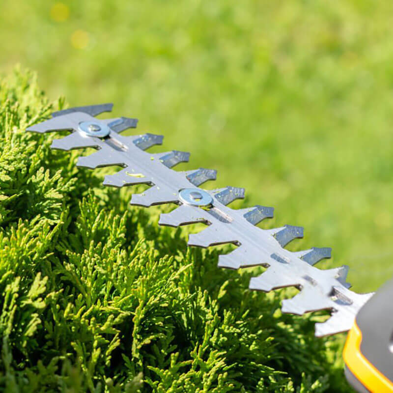 How to Keep Your Pole Hedge Trimmer Blades Sharp?